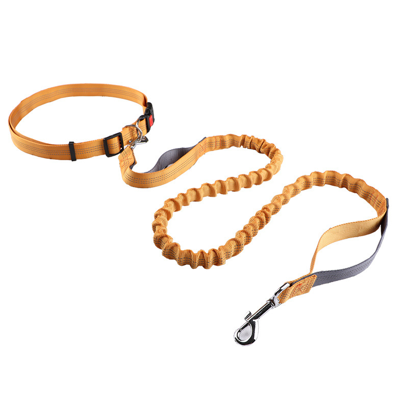 Retractable Dog Leash - Поводок для животных, поводок для бега,