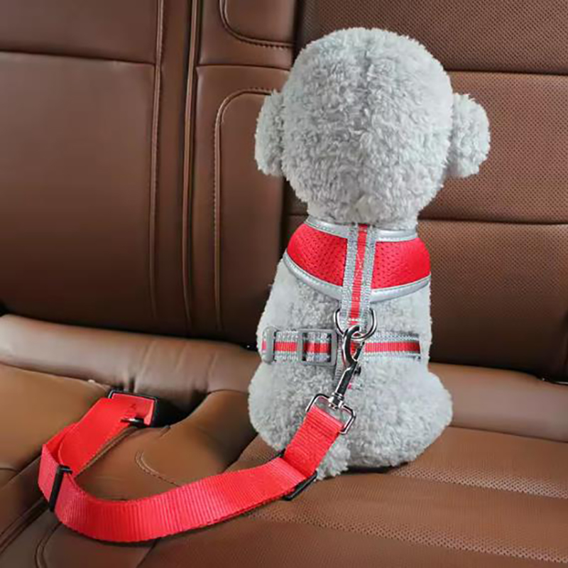 Ремни безопасности для собак,  – обзор и цена Retractable Dog Leash