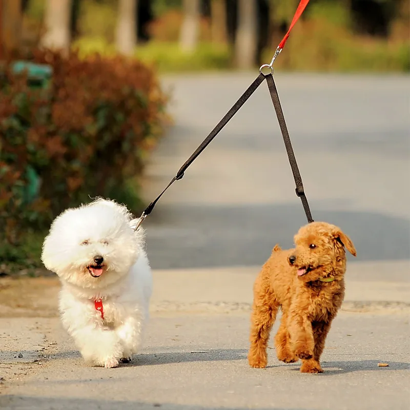 Поводок для прогулок на открыт – обзор и цена Retractable Dog Leash