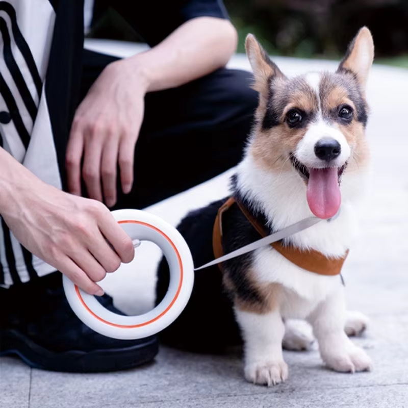 Moestar UFO vit폐식 가죽 끈 2 라이트 b – обзор и цена Retractable Dog Leash
