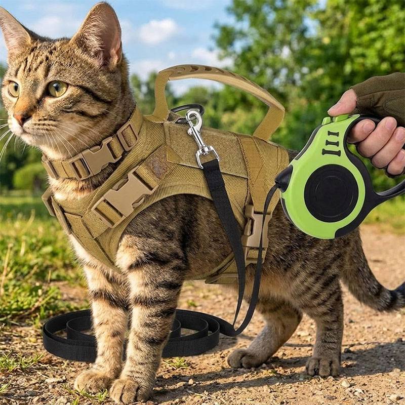 Дышащая тактическая шлейка-жил – обзор и цена Retractable Dog Leash