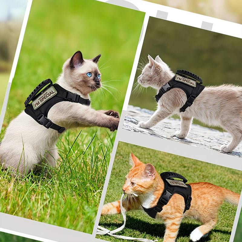 Дышащая тактическая шлейка-жил – обзор и цена Retractable Dog Leash