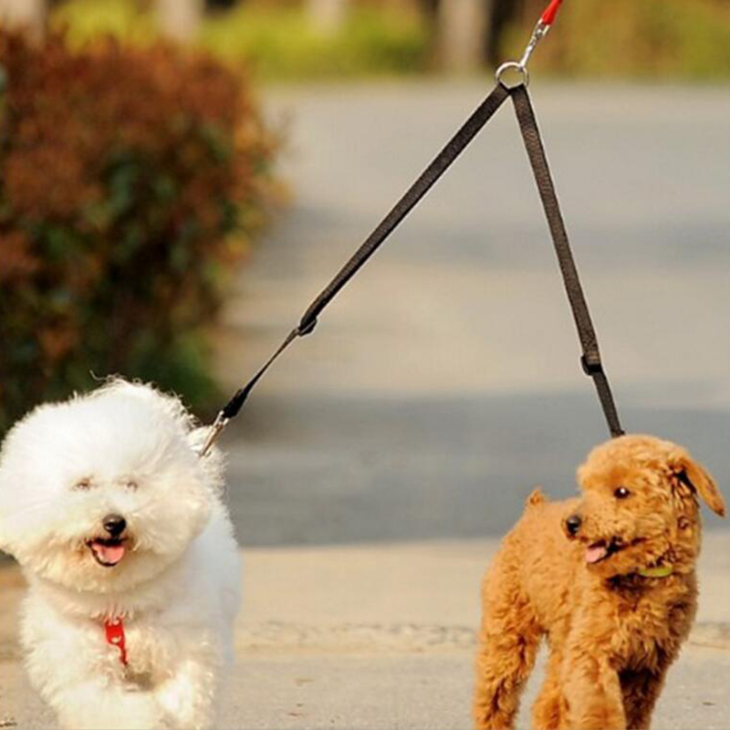 1 шт. двойной светящийся повод – обзор и цена Retractable Dog Leash