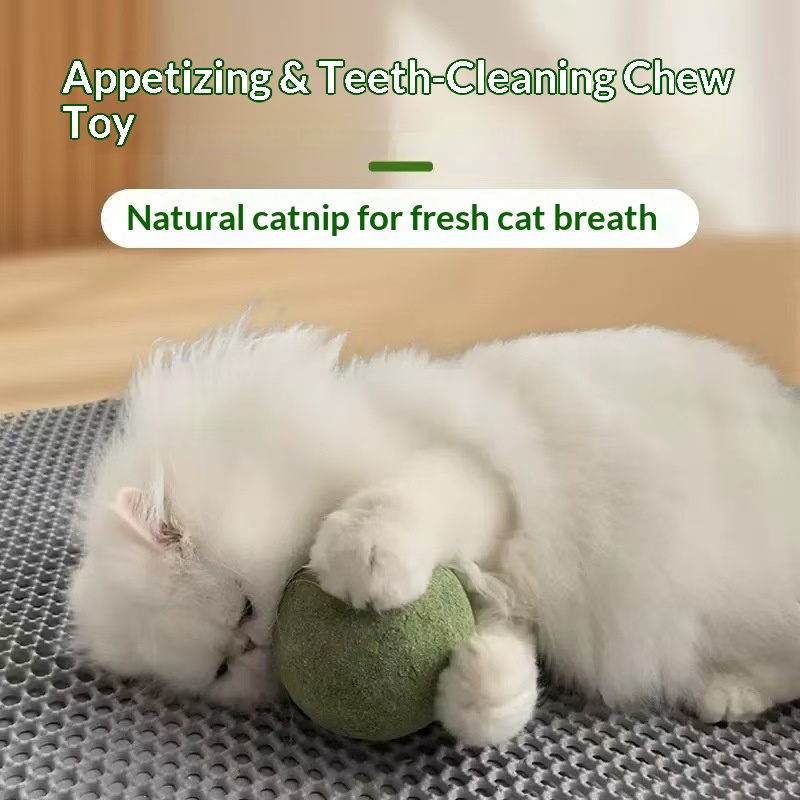 Мячик с кошачьей мятой, очень  – обзор и цена Catnip Toys