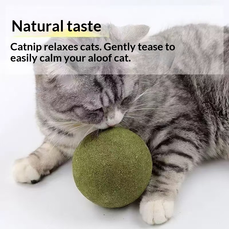 Мячик с кошачьей мятой, очень  – обзор и цена Catnip Toys