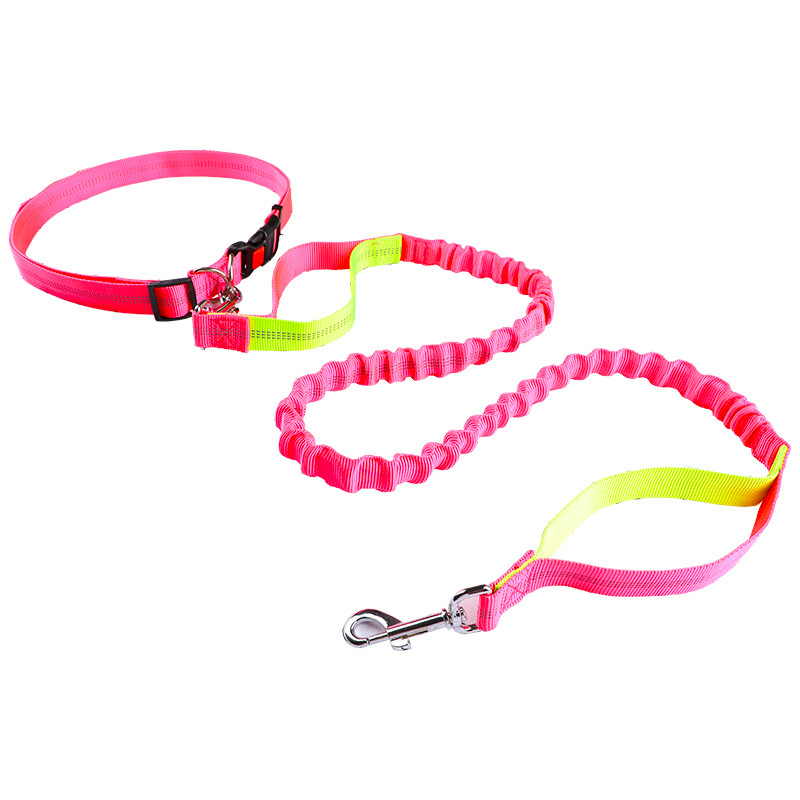 Поводок для животных, поводок  – обзор и цена Retractable Dog Leash