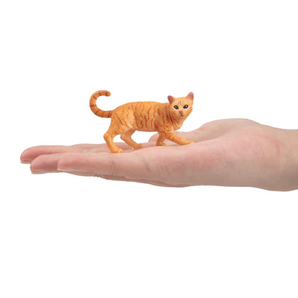 Toymany Моделирование Striding – обзор и цена Pet Supplies Delivery