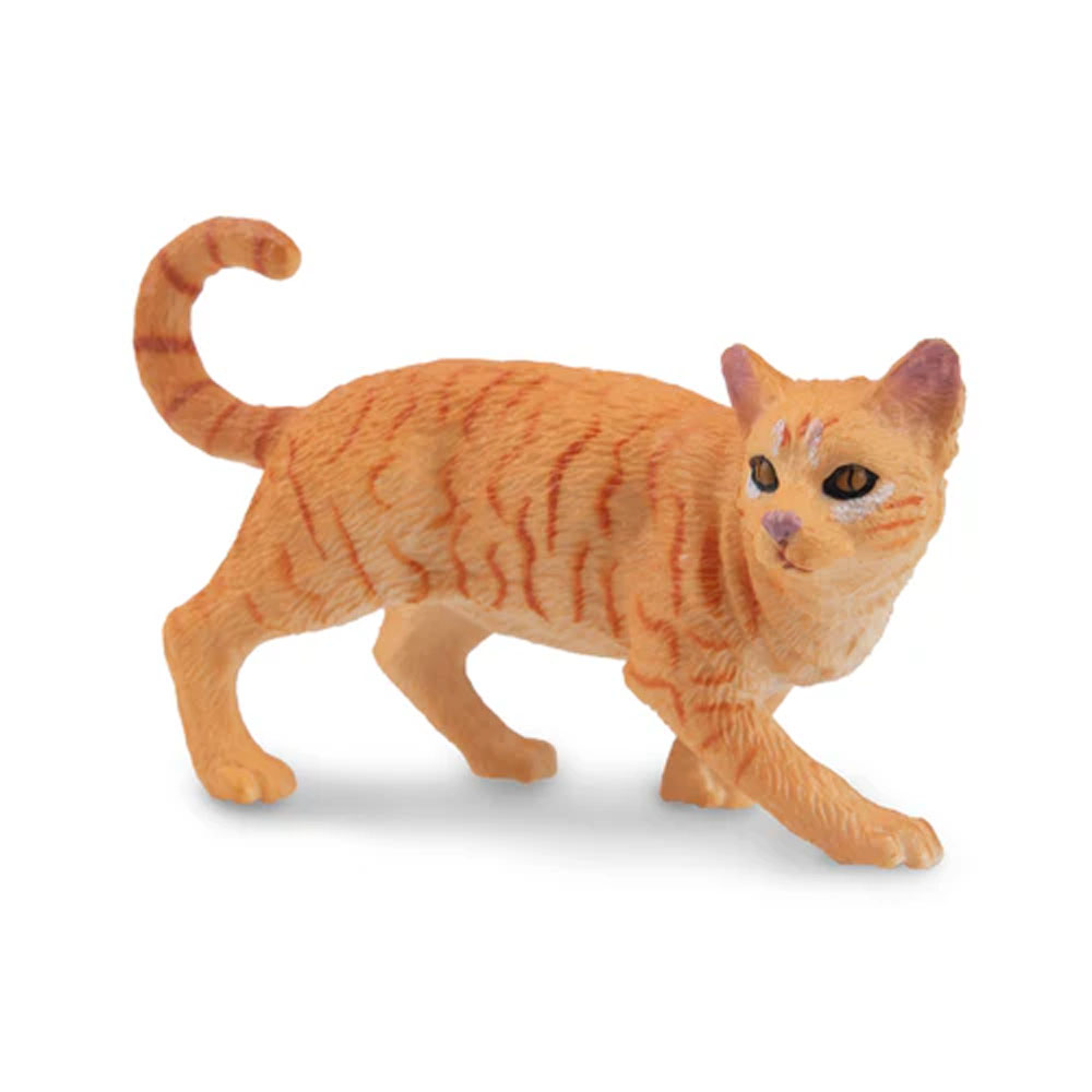Toymany Моделирование Striding – обзор и цена Pet Supplies Delivery