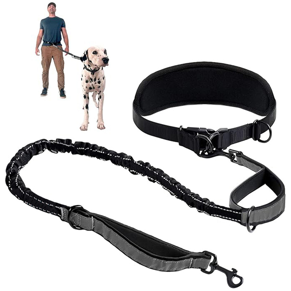 Поводок для собак без помощи р – обзор и цена Retractable Dog Leash