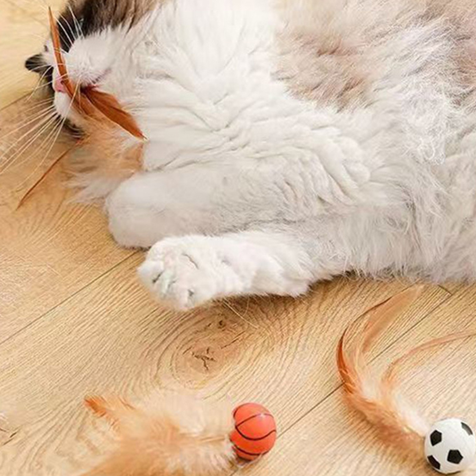 Игрушки с кошачьими перьями, и – обзор и цена Catnip Toys